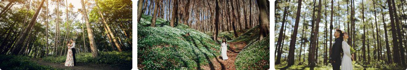 wedding in forest